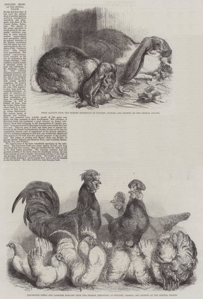 Poultry Show at the Crystal Palace by Harrison William Weir